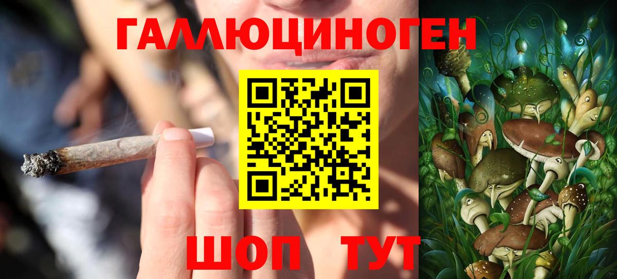 Псилоцибиновые грибы GOLDEN TEACHER  Вход с VPN  Галлюциногенные грибы ЛСД  Аша 