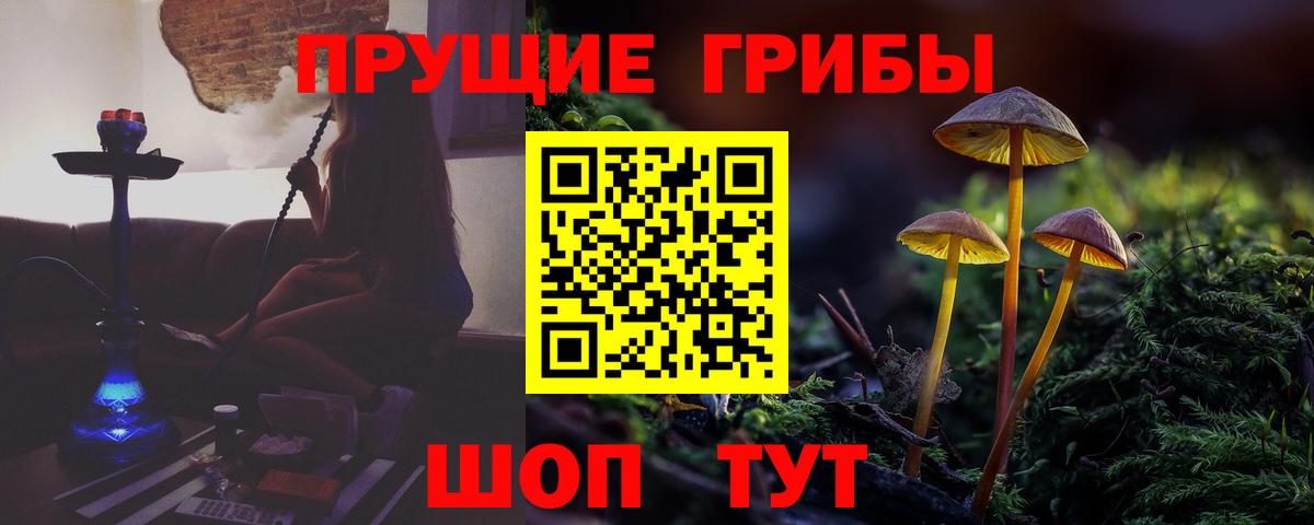 Псилоцибиновые грибы Psilocybine cubensis Аша